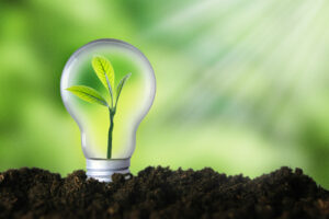 Plants and Sustainability | AG2 TC | Apopka, FL